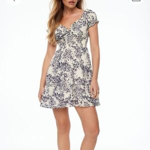 Dynamite Delphine Fit & Flare Dress